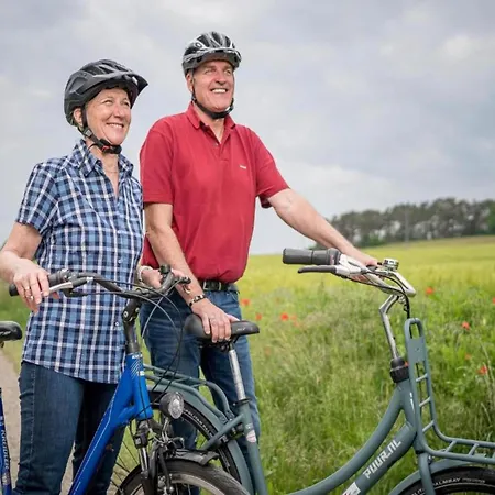 Tolles In Der Seenplatte