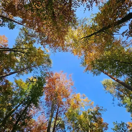Апартаменты Tolles In Der Seenplatte